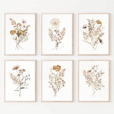 four framed pressed flowers on white paper