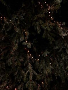 there is a tree with many lights on it