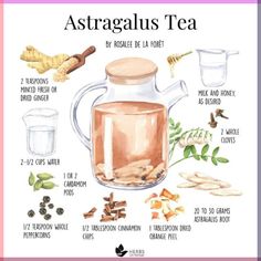 an illustrated guide to how to use astragus tea for health and skin care