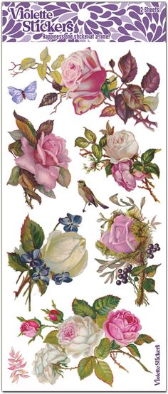 some flowers and leaves on a white background with purple trimmings, including pink roses