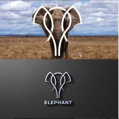 an elephant standing in the middle of a dry grass field next to a sign that says elephant