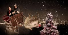 two women riding in a sleigh pulled by a hedgehog and a christmas tree