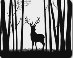 a deer standing in the middle of a forest