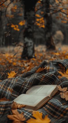 an open book laying on top of a plaid blanket in the middle of autumn leaves