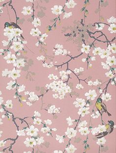 a pink wallpaper with white flowers and birds on the branch, in front of a light pink background