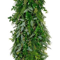 Seeded Eucalyptus White Pine Garland, Cedar Garland, Boxwood Garland, Sage Green Flowers, Winter Romance, Long Vase, Low Centerpieces, Fresh Eucalyptus, Pine Garland