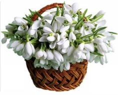 a basket filled with white flowers sitting on top of a table