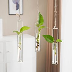 two hanging planters with plants in them on a white dresser next to a window