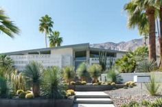 a house with palm trees in front of it and landscaping on the outside, along with concrete steps leading up to an entry way