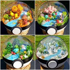 four different views of the inside of a glass ball with plants and rocks in it