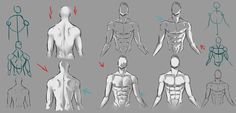 how to draw the human body from different angles and positions, with instructions for each part