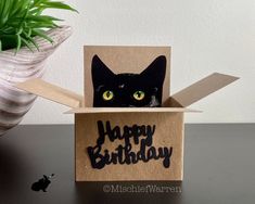 a black cat in a cardboard box with the words happy birthday written on it