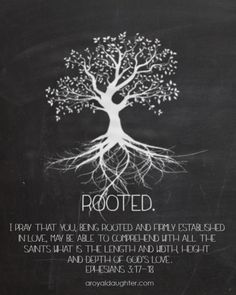 a chalkboard with a tree and roots on it that says rooted, not forgotten