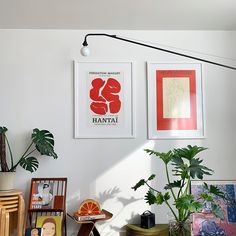 there are two pictures hanging on the wall next to a potted plant and other items