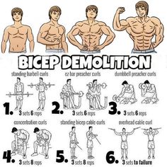 a poster with instructions on how to do bicep demolation for the upper body