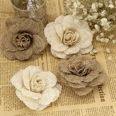 three flowers sitting on top of a newspaper