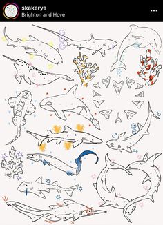 an image of various sea animals drawn on paper with colored pencils and marker pens