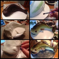 several pictures of different types of fish on plates