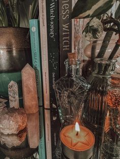 a candle sitting on top of a table next to books and vases filled with plants