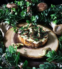 a mushroom and cheese dish on a wooden plate surrounded by greenery with mushrooms in the background