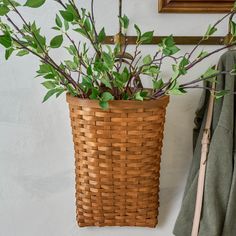 a plant in a woven basket next to a coat rack