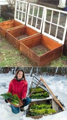 45 BEST tutorialsfree building plansdesign ideas on how to build easy DIY greenhousescold framesbackyard garden tunnelshoops Serre Diy, Diy Greenhouses, Free Building Plans, Build A Greenhouse, Small Greenhouse, Greenhouse Plans, Garden Types, Diy Greenhouse, Cold Frame