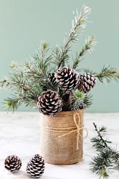 pine cones and evergreen branches in a burlocked jar