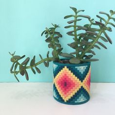 a potted plant sitting on top of a white table next to a blue wall