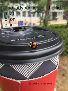 a ladybug is sitting on top of a coffee cup