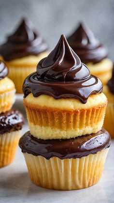 several cupcakes with chocolate frosting on top