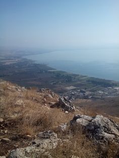 there is a dog that is standing on the top of a hill looking out at the water