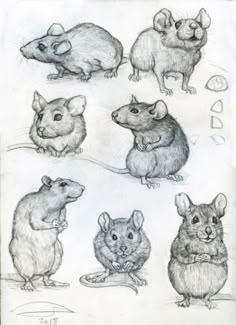 several different types of mouses are shown in this drawing