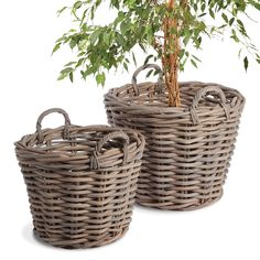 two wicker baskets with a small tree in them