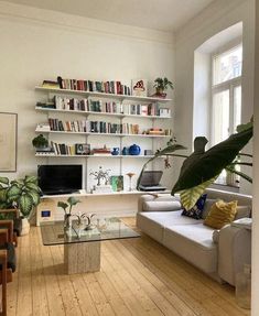 a living room filled with furniture and bookshelves next to a window covered in plants