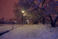 snow falling on the ground and trees in front of a fenced area at night