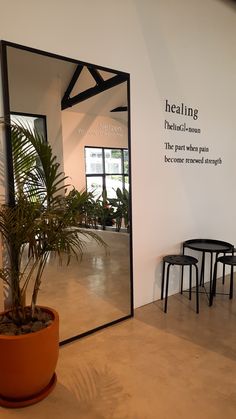 a potted plant sitting in front of a large mirror on the side of a wall