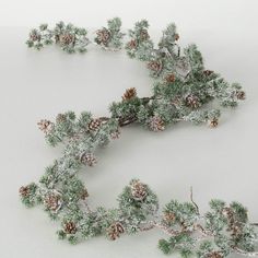 a bunch of pine cones and branches covered in snow