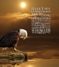 an eagle sitting on top of a rock next to the ocean with a sunset in the background