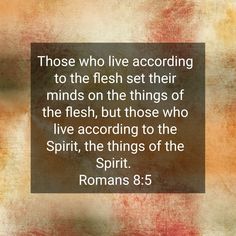 a quote from the bible about those who live according to the flesh set their minds on the things of the flesh, but those who live according to the spirit