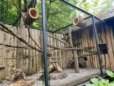 an animal cage with several cages and trees in the back ground, along with other animals