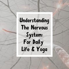 Our nervous systems are marvelous, complex, and fascinating things. Yoga allows up to tap deeper into the connection between our minds, bodies, and our reality by working with the nervous systems. . Today we are diving deep into two functions of the autonomic nervous system: the sympathetic, and parasympathetic responses. . #beyogi #nervoussystem #anatomy #sympathetic #parasympathetic #yoga #yogaanatomy #yogainsurance #yogajourney Sympathetic And Parasympathetic, Autonomic Nervous System Dysfunction, Parasympathetic Nervous System, Autonomic Nervous System