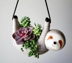 a slotty hanging planter with succulents