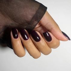 The Best Winter 2024 Nail Color Trends Remix Classic Holiday Shades | Allure Fall Nails Burgundy, Dark Fall Nails, Black Cherry Nails, Fall Nail Inspiration, Burgundy And Navy Blue, Allure Beauty Box, August Nails, Dark Fall