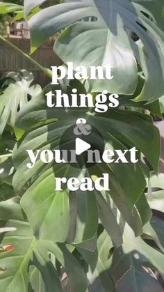 the words plant things and you next read are in front of some green plants with leaves