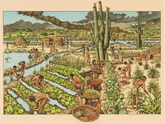 an illustration of people working in a garden with cactuses and other plants on the ground