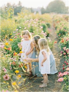 Farm Dream, Spring Family Pictures, Fields Of Flowers, Earth Photography, Wildflower Photo, Outdoor Family Photography, Display Boards, Outdoor Family Photos, Flower Photoshoot