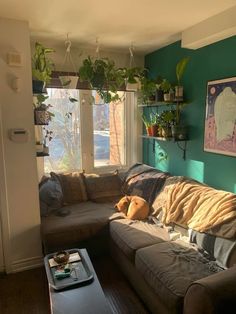 a living room filled with furniture and lots of plants on the windows sills