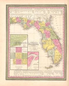 a map of the state of florida in pink, yellow and green with other states