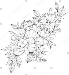 black and white drawing of flowers with leaves on a white background stock photo edit now