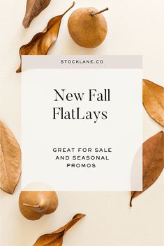 the new fall flatlays are great for sale and seasonal promotional purposes, too